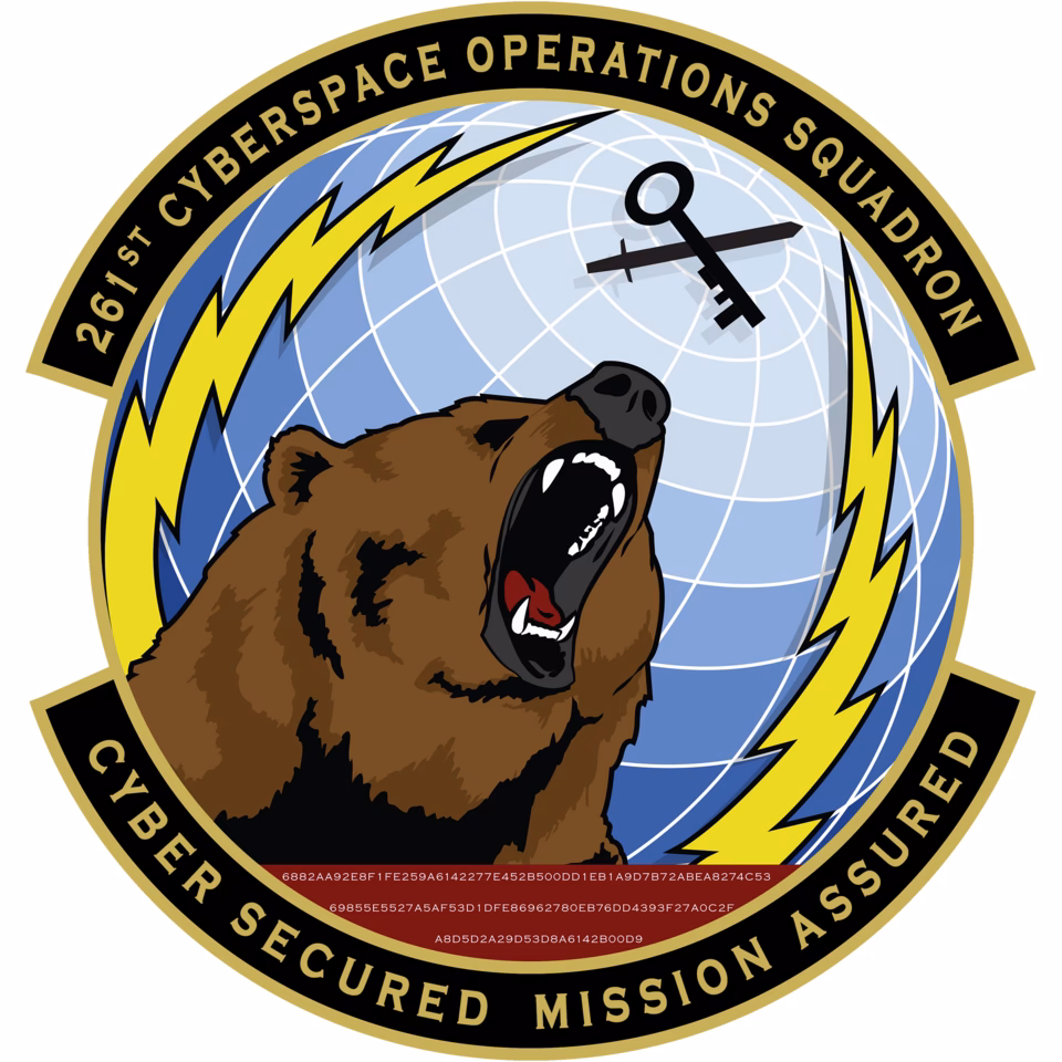 Who are the 375th Cyberspace Operations Squadron?
