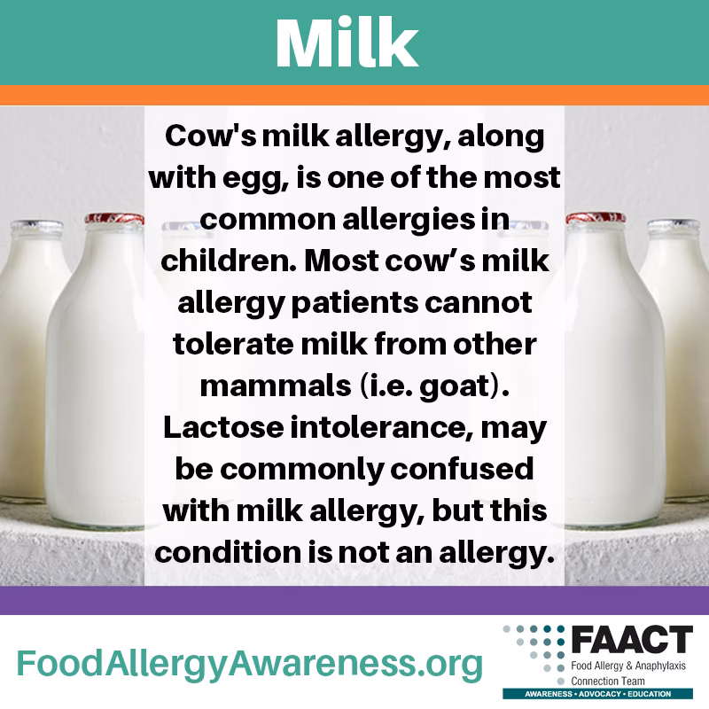 What should I do if I have a milk allergy?