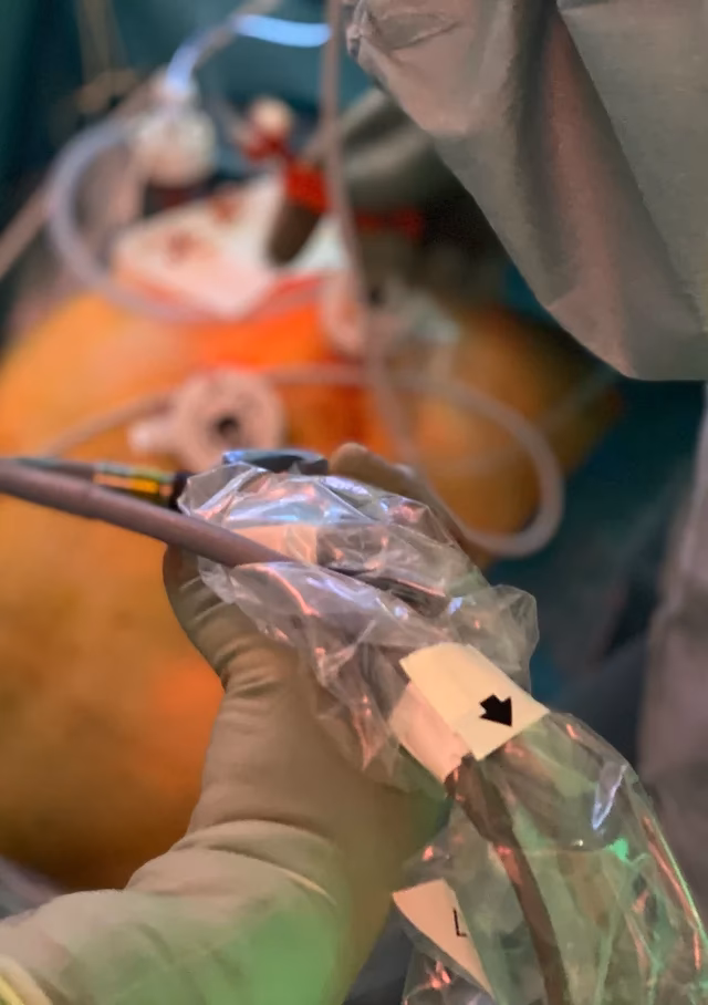 What courses are offered at AO Davos?