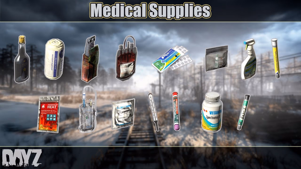 What medical care does Dayz offer?