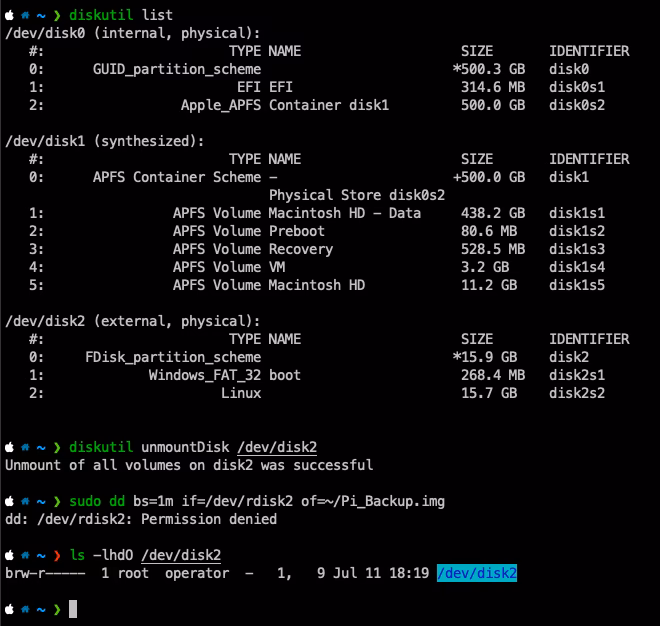 Do you have anything mounted on /dev/disk1?