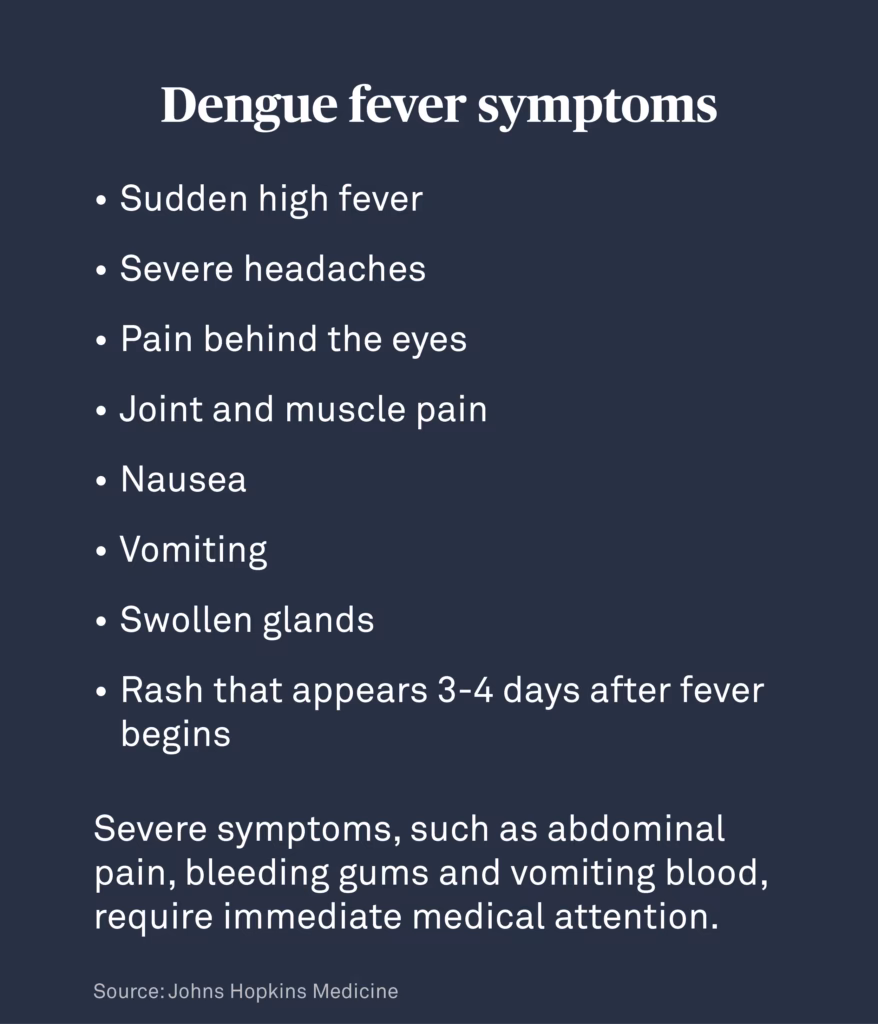 Are dengue mosquitoes common?