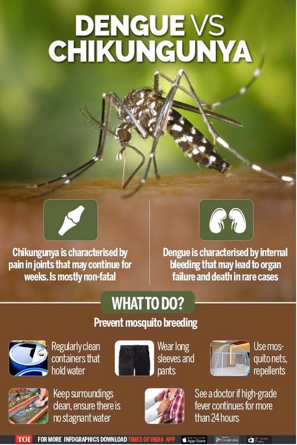 How many cases of chikungunya were reported in Hong Kong in 2024?