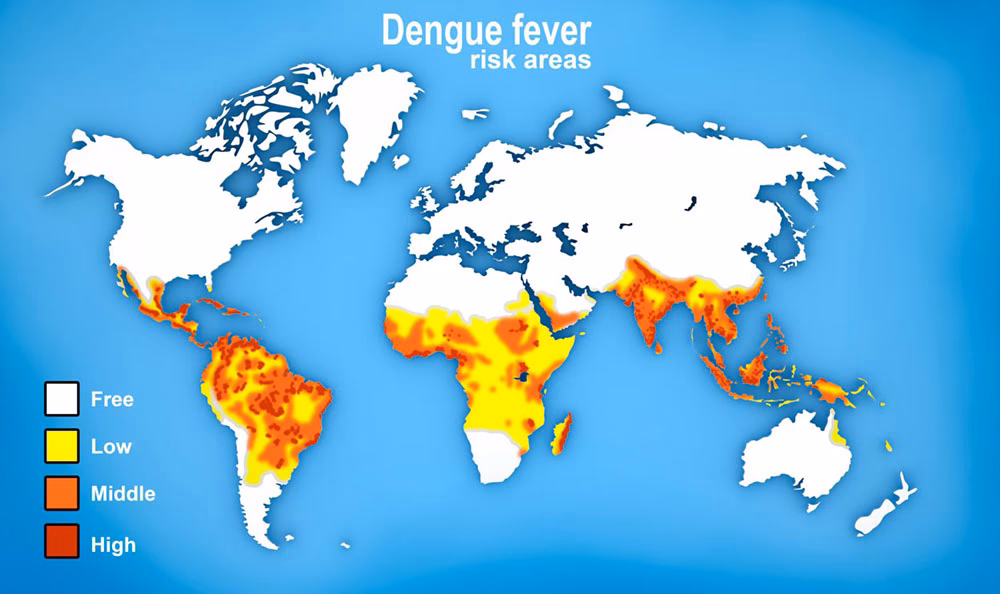Is severe dengue a repeat infection?