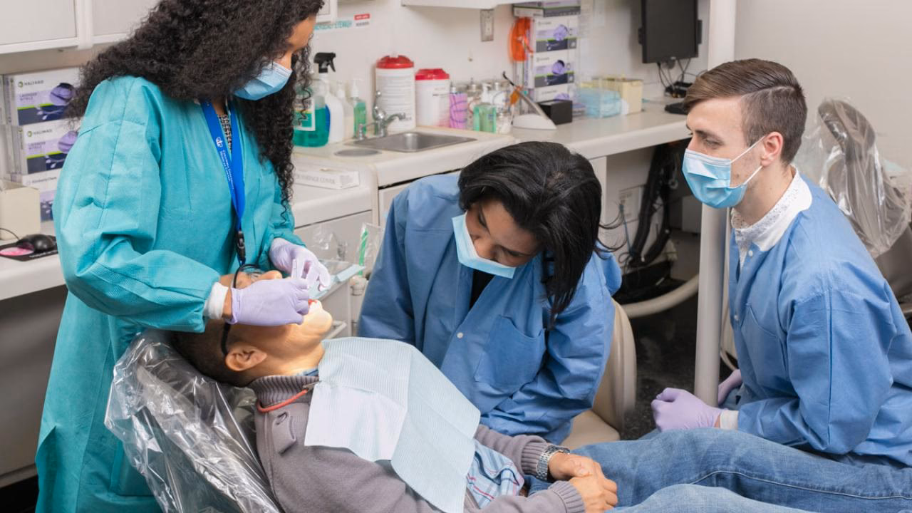 Where can I get a dental degree in New York?