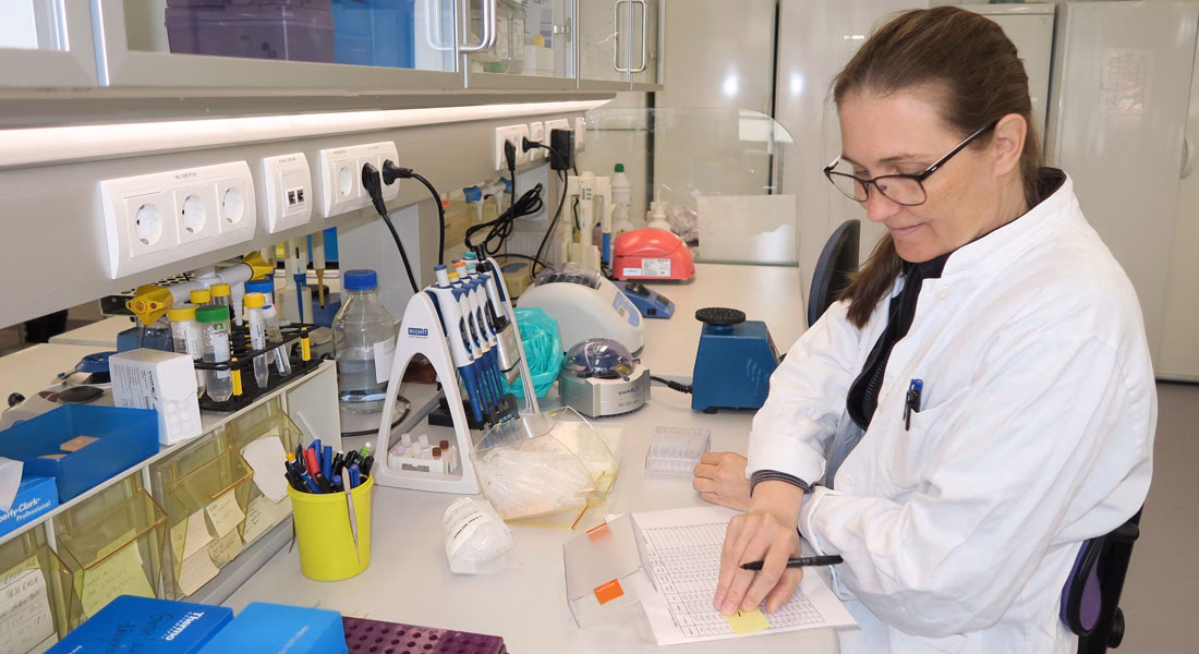 What courses do you take in Molecular Biomedicine?