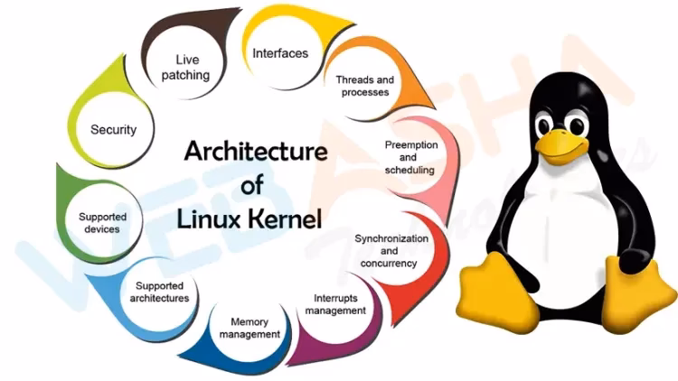 When did Linus Torvalds release Linux?