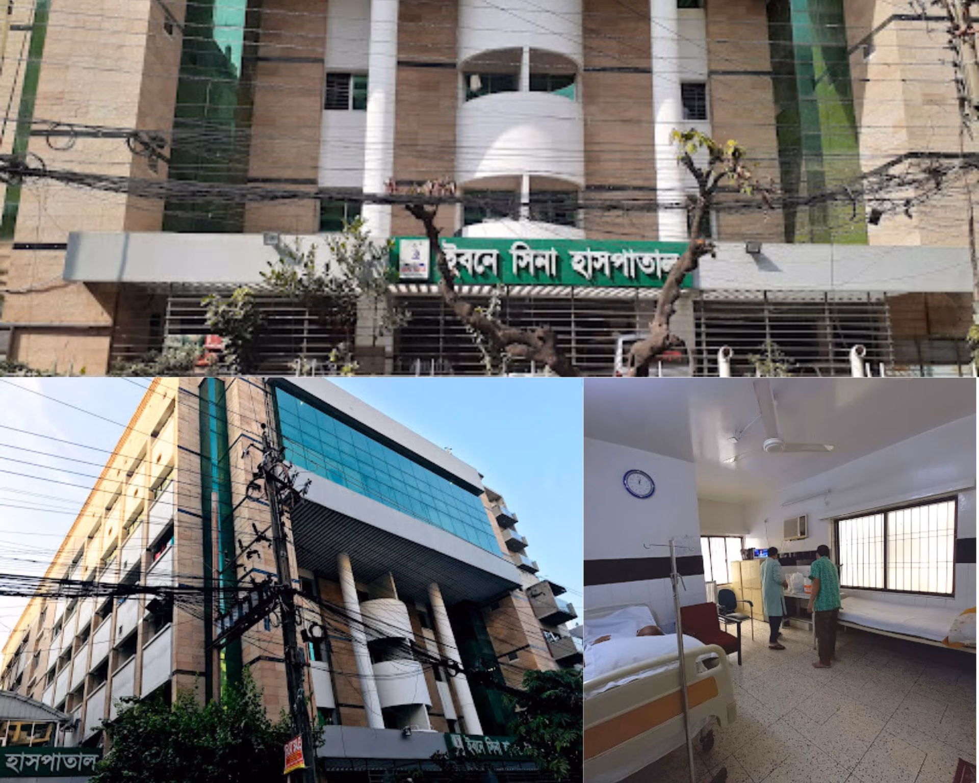 What services does Ibn Sina provide?