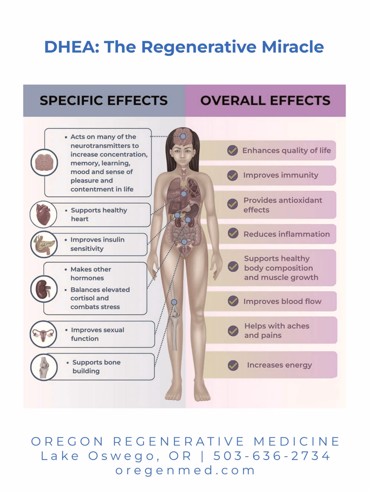 What are DHEA side effects?