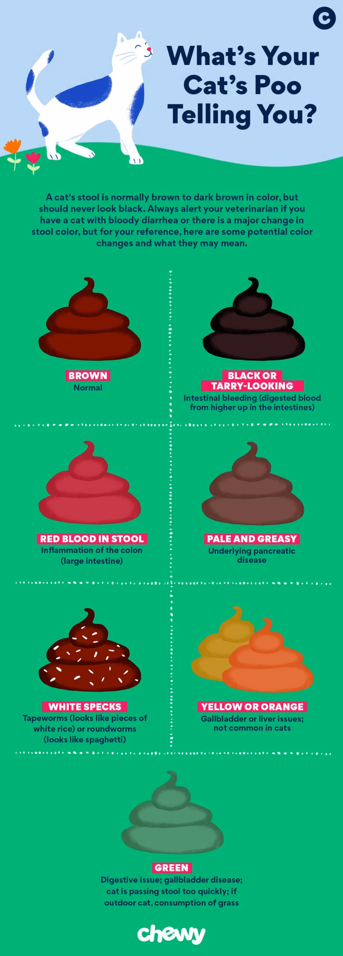 What causes bloody poop in cats?