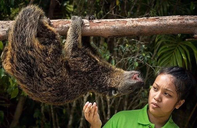 What does poop smell like?