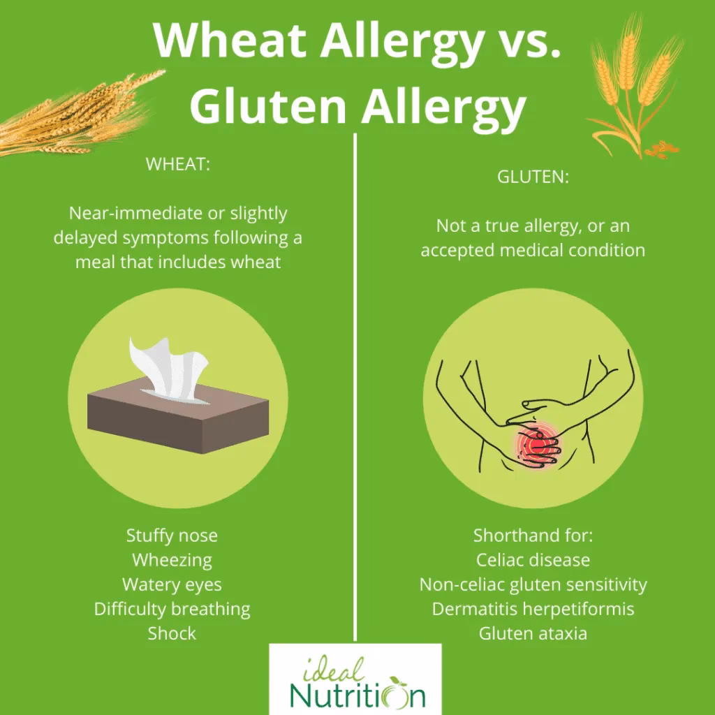 Can you eat gluten if you have a wheat allergy?