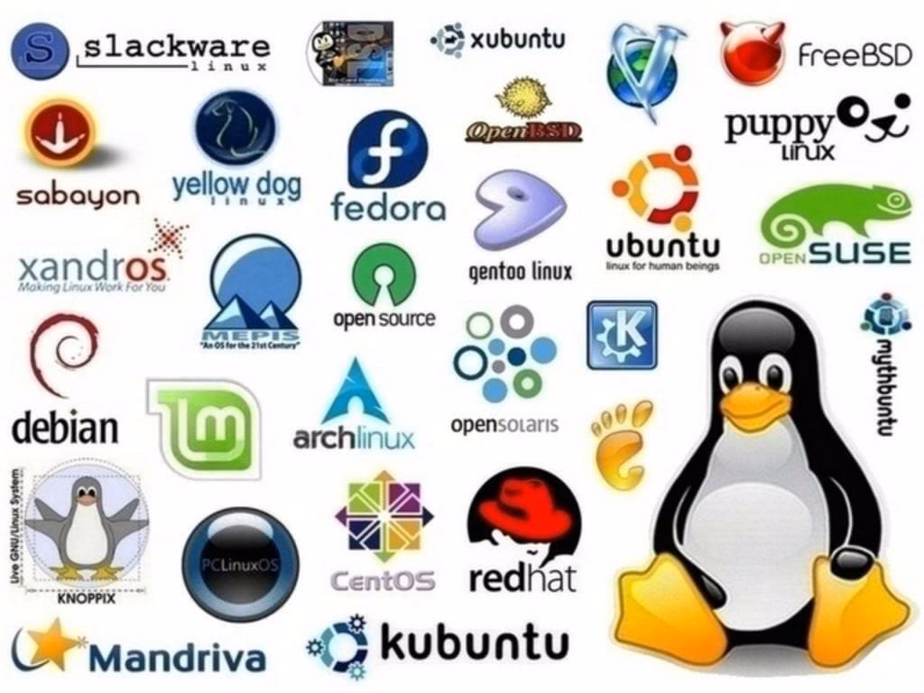 What is a Linux distro?