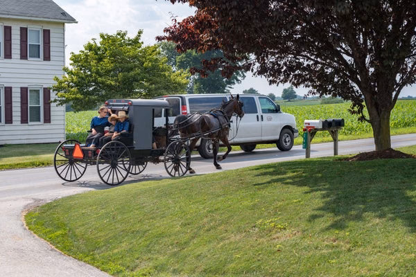 Why do Amish people go to hospitals?