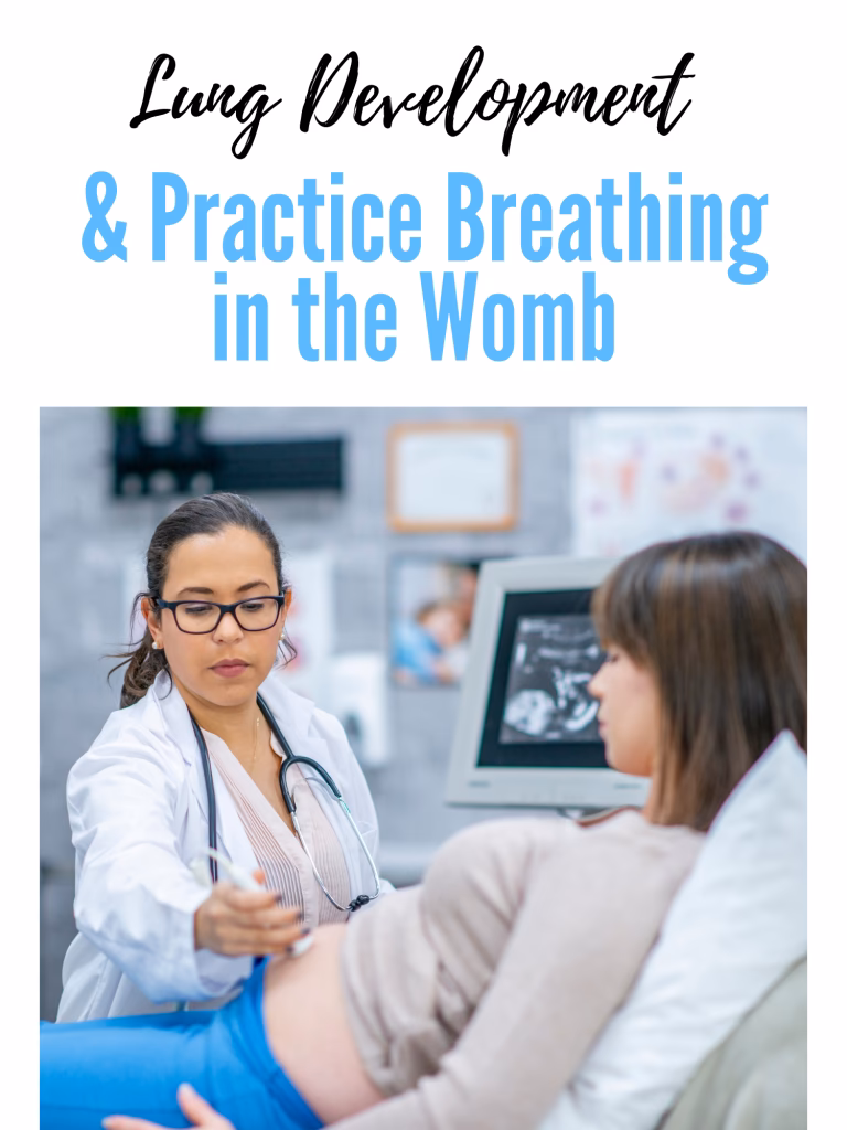 How does a fetus breathe during labor?