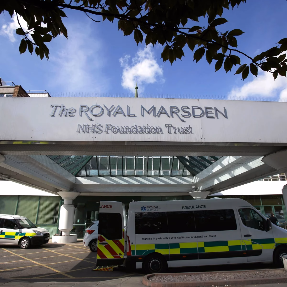 Does the Royal Marsden work with the Institute of cancer research?