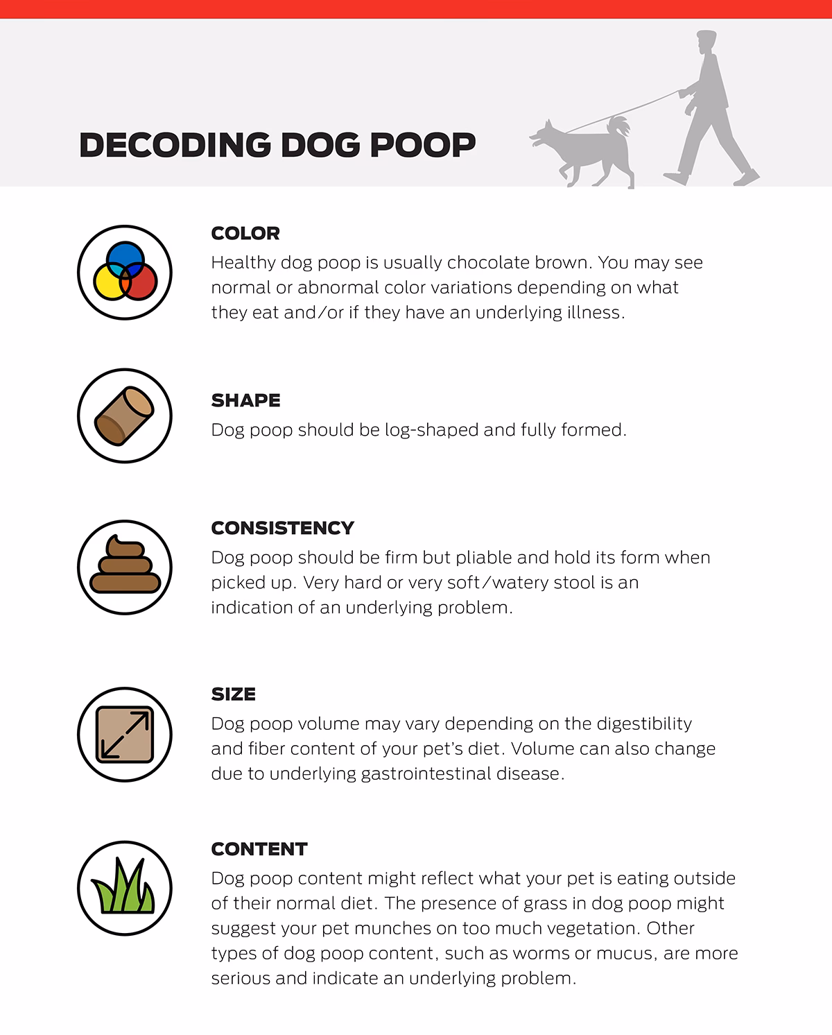 Why does my dog have diarrhea?
