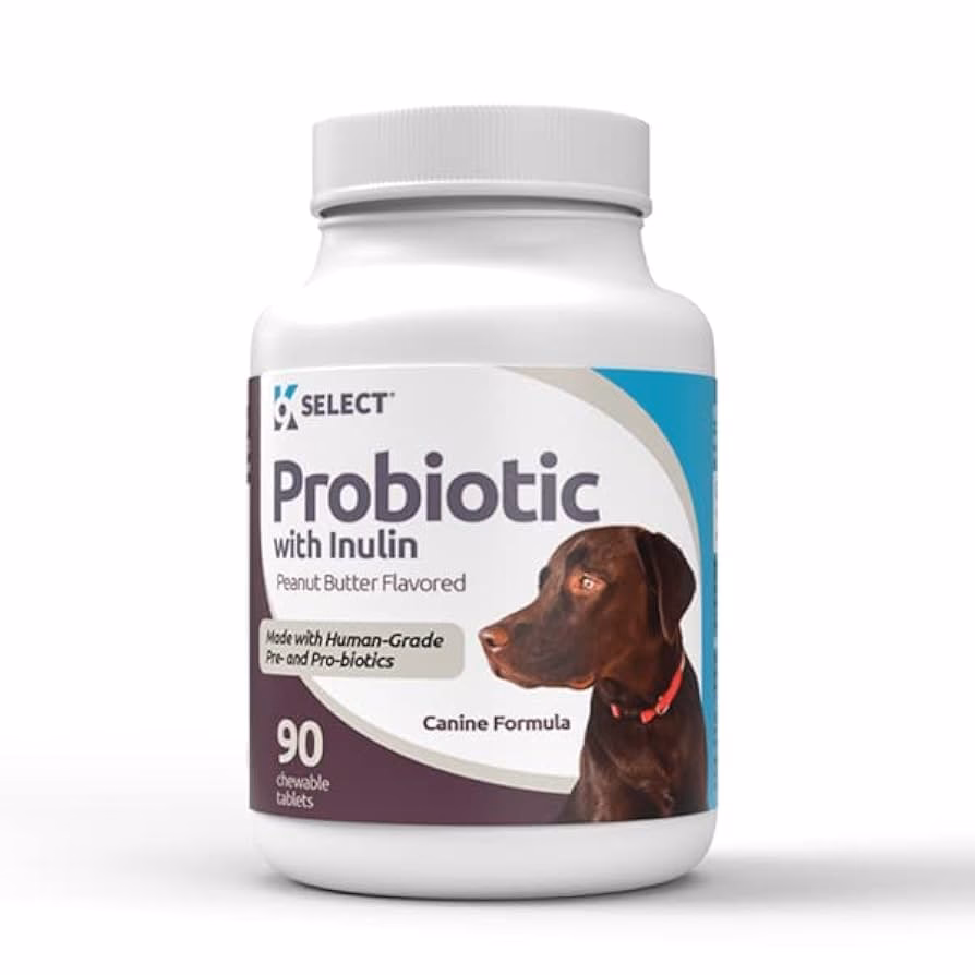 What are the best digestive aids for dogs?