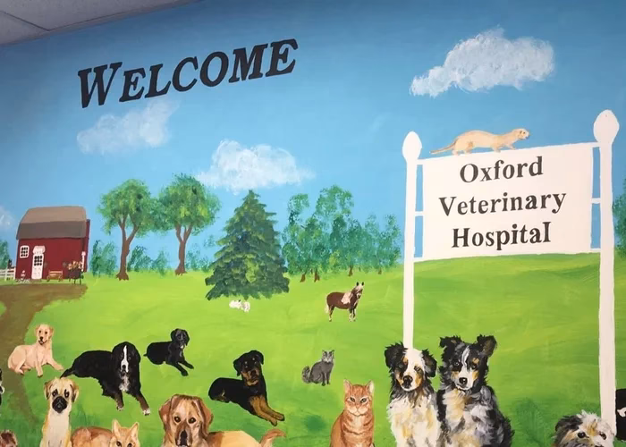 Where can I get a vet appointment in Oxford & Wheatley?