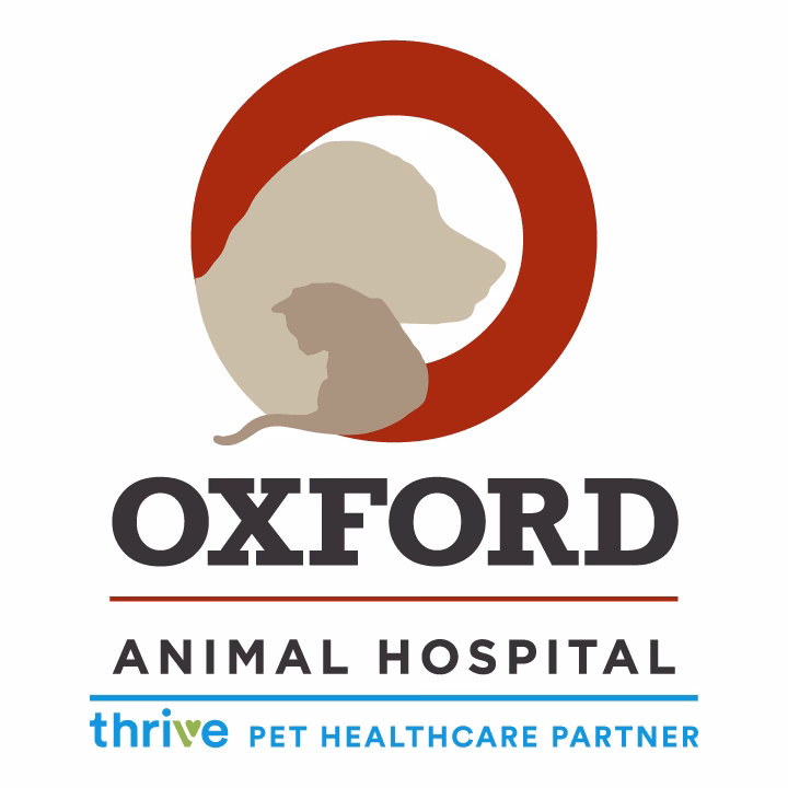 Where can I take my Pet to Oxford?