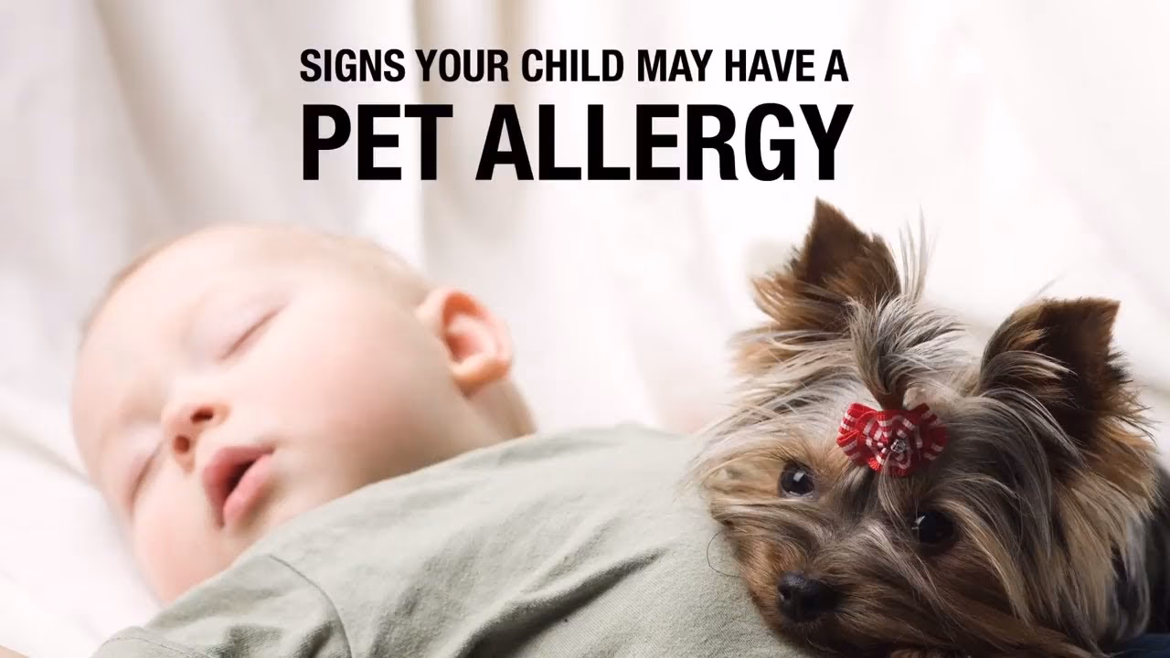 Can my daughter have a pet allergy?