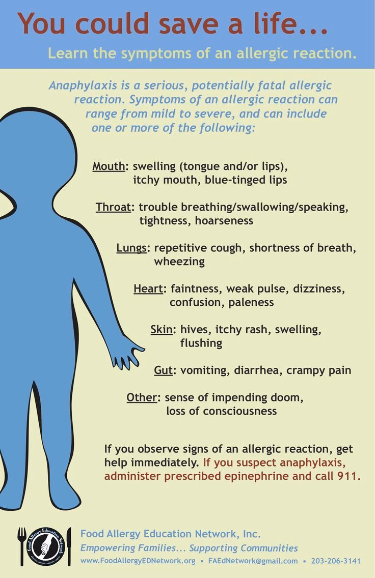 What if my child is allergic to dogs?