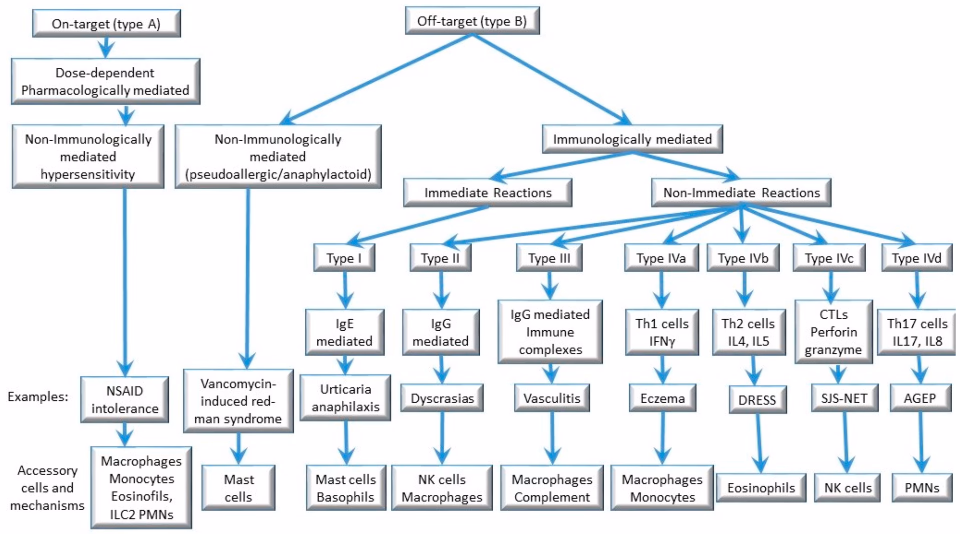 How do you diagnose allergic/hypersensitivity drug reactions?