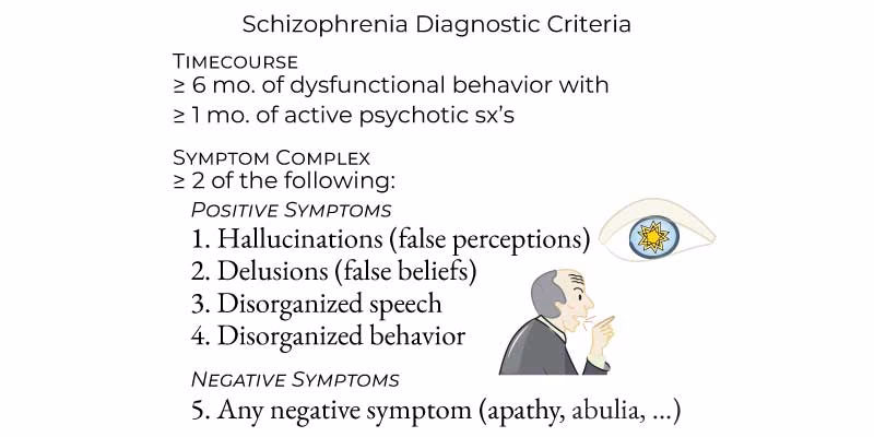 What is the formal diagnosis of schizophreniform disorder?