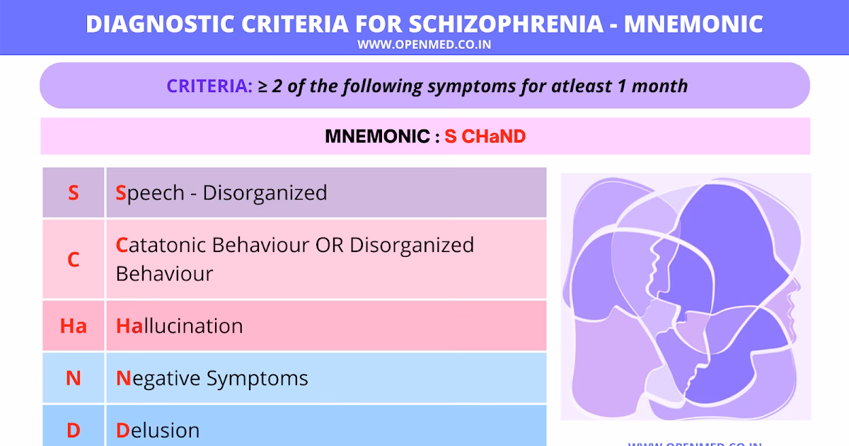 What is paranoid-type schizophrenia in DSM-IV?