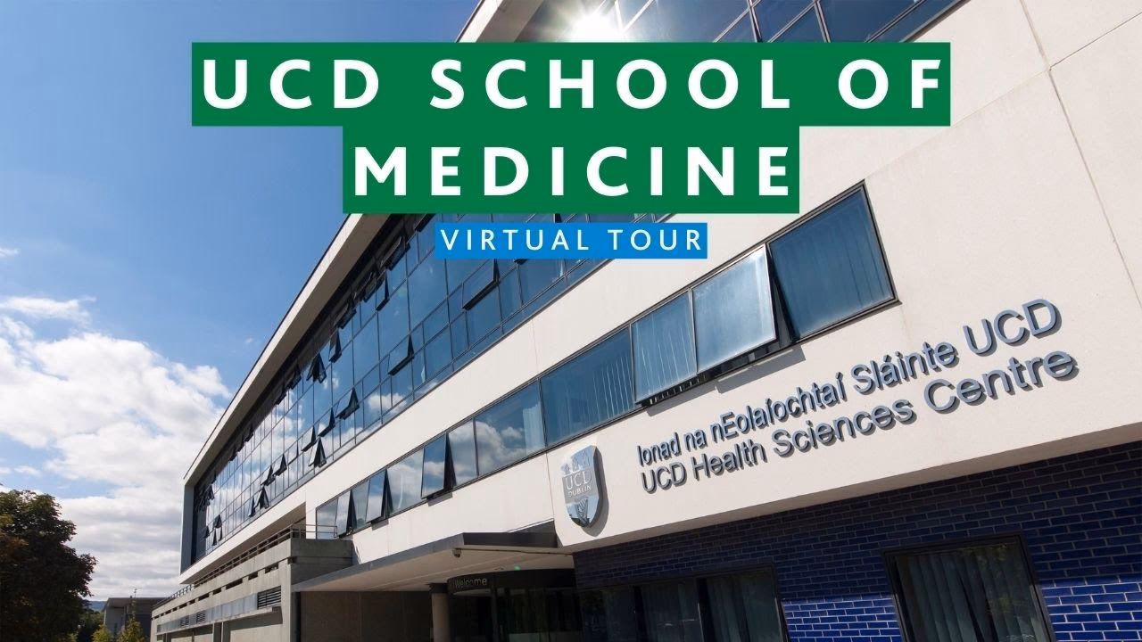 How many cycles are there in Ireland's undergraduate medicine course?