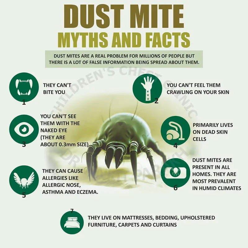 How do I get rid of house dust mites?