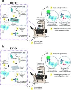 Rejser med kæledyr? Forstå FAVN-testen - MEDNOTE