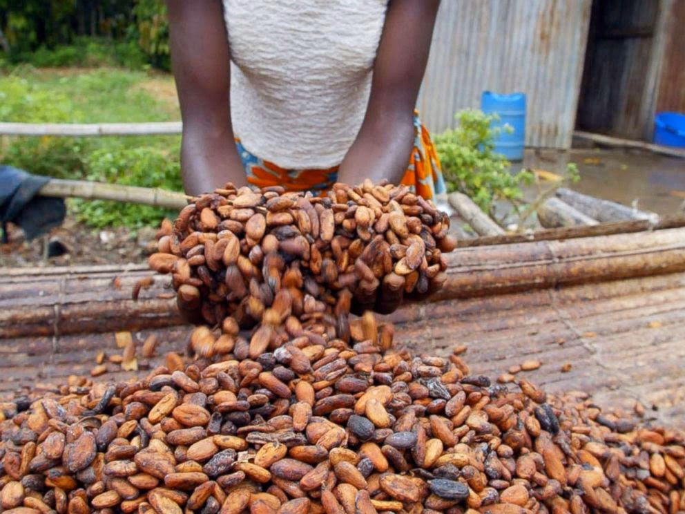 Quais são os tratamentos para o vírus Ébola?