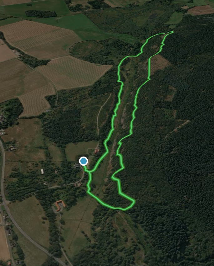 How does the Danish Medicines Agency work with ethical committees?