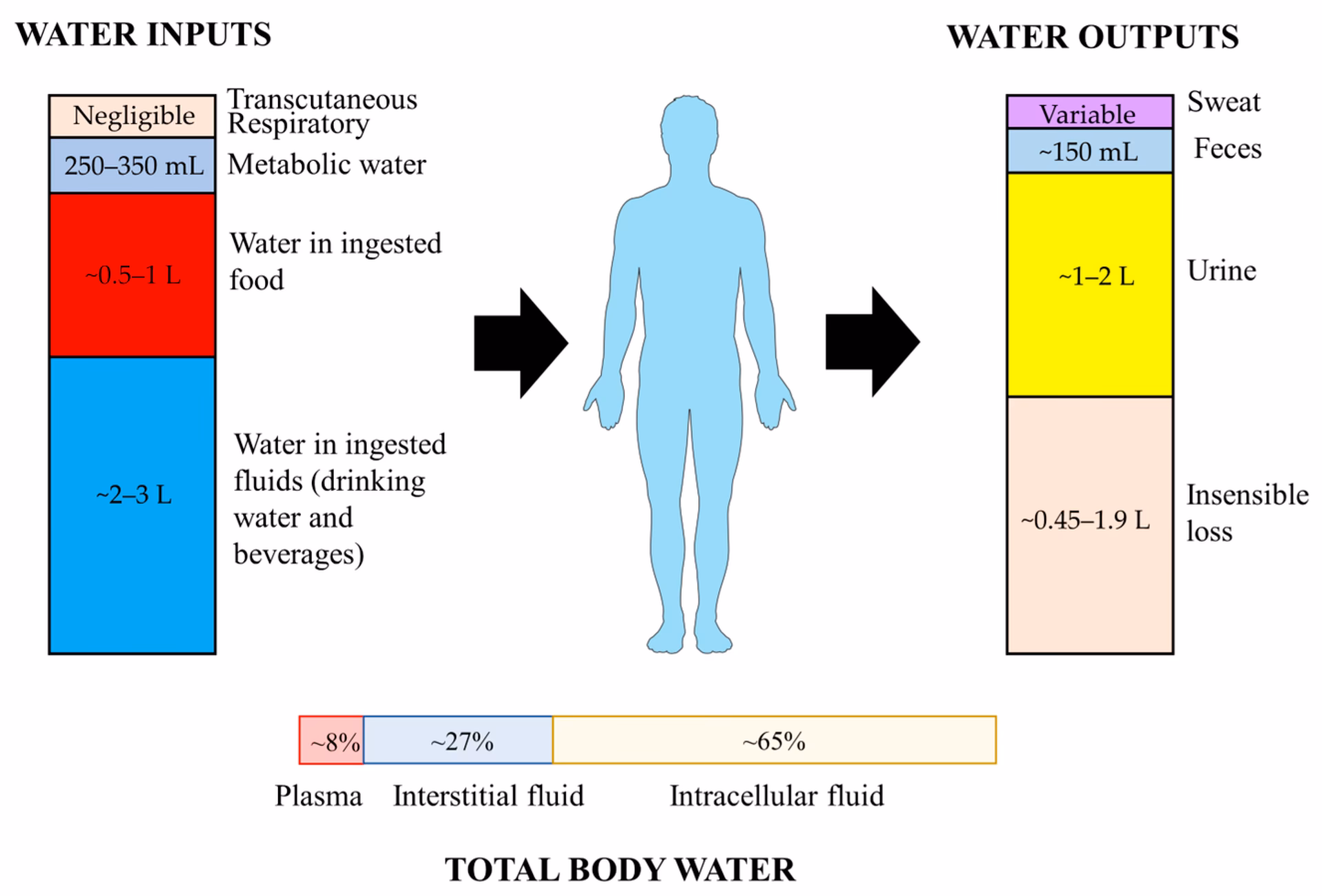 Does dehydration affect health care costs in the elderly?
