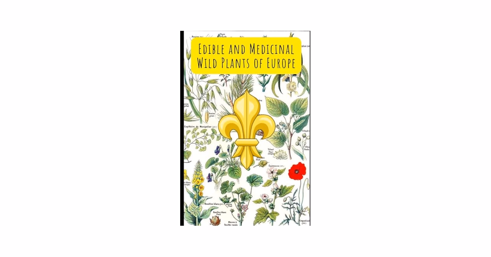 What plants are good for cancer treatment?