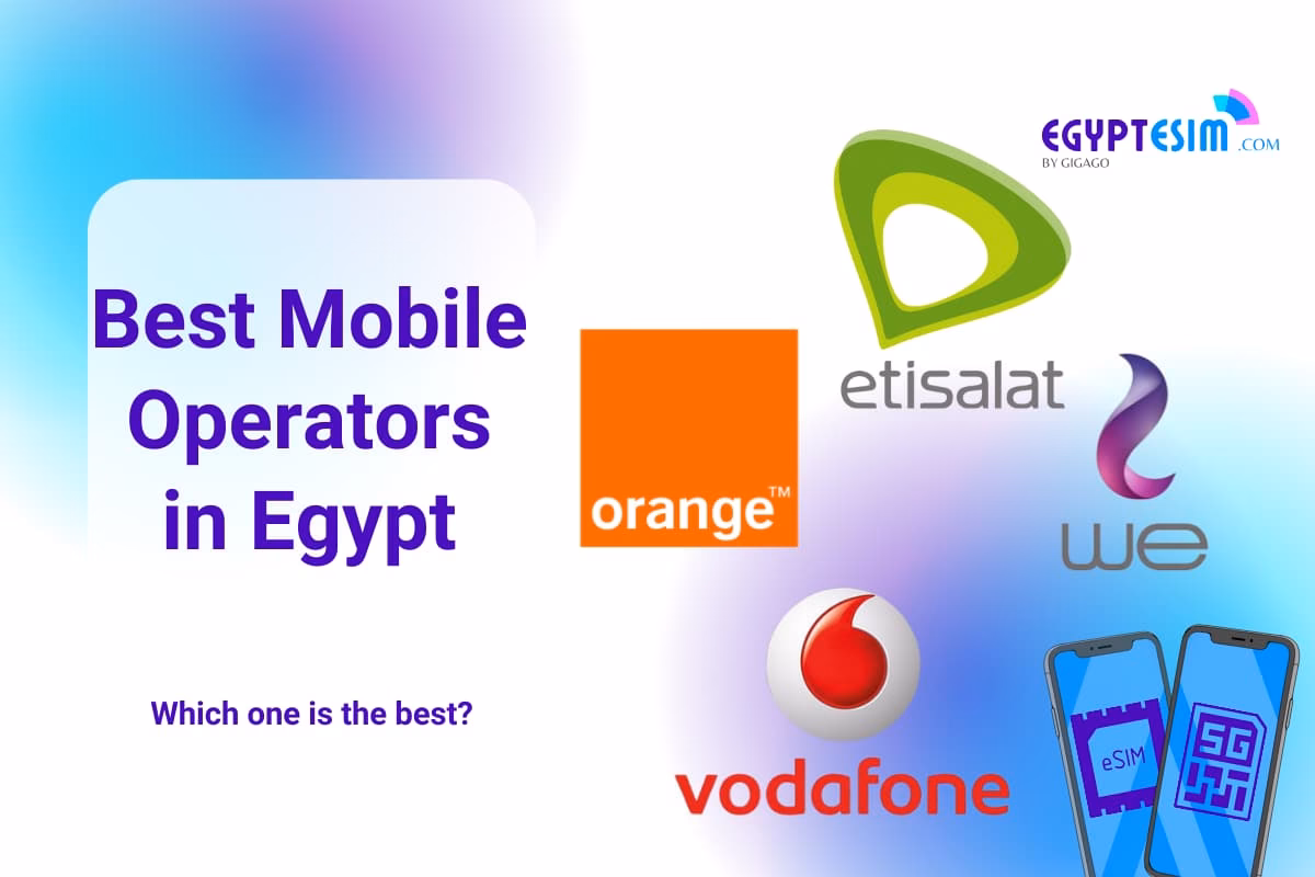 What services does Vodafone offer in Egypt?