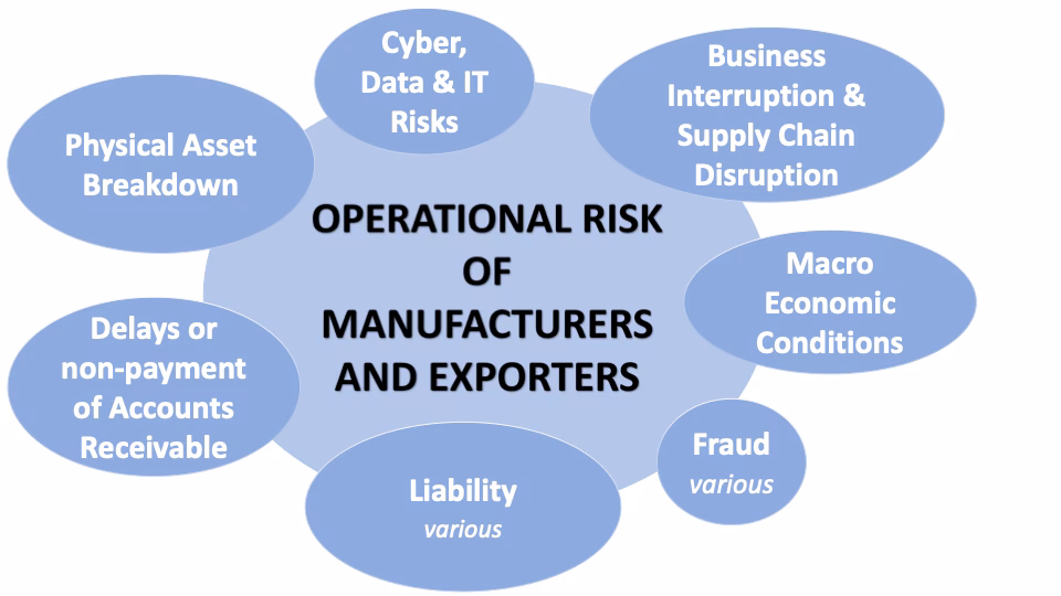 How has the fall of the Egyptian pound impacted Egyptian companies?