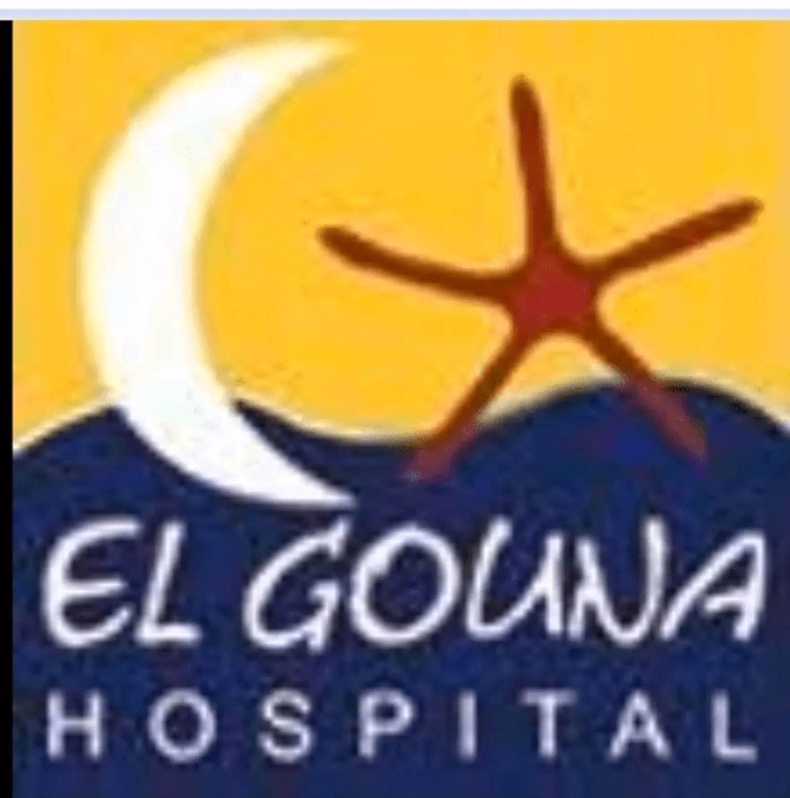 Where is El Gouna located?