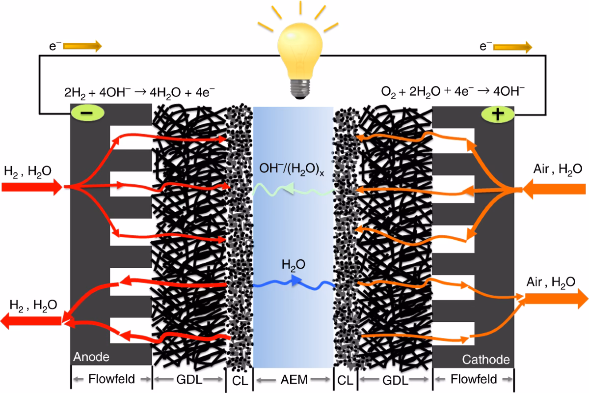 What is membrane electrode assembly (MEA)?