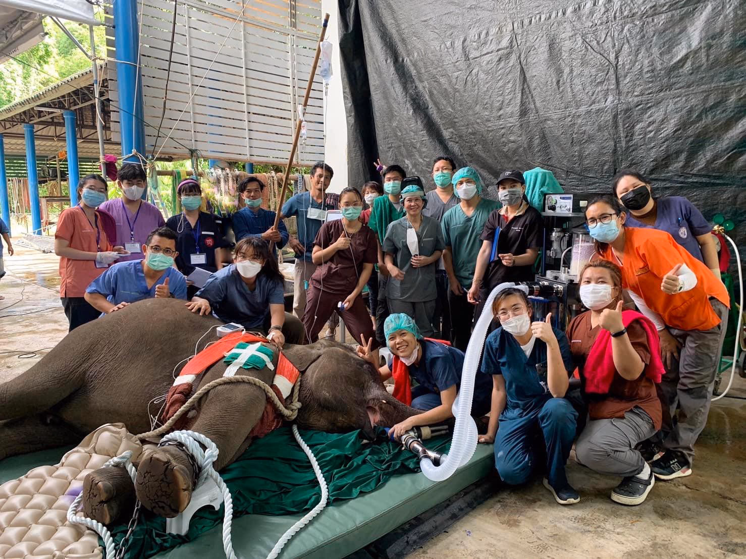 What is the best elephant sanctuary in Thailand?