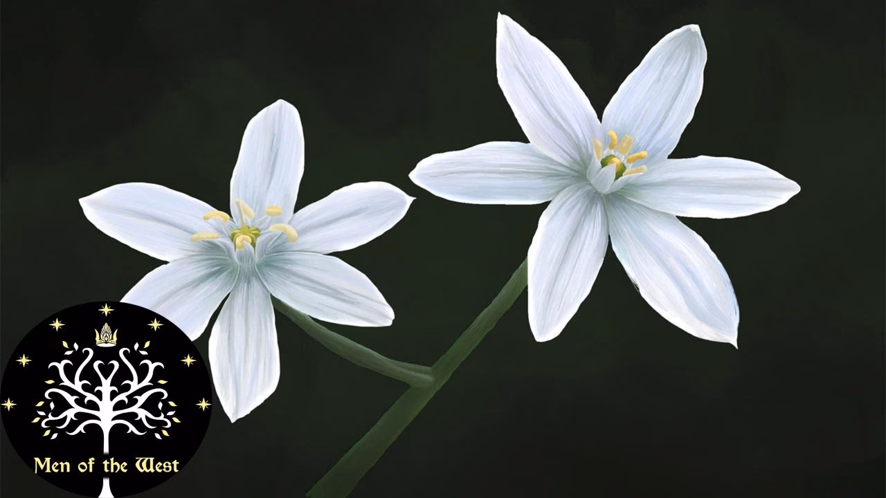 What herbs were used in Viking medicine?