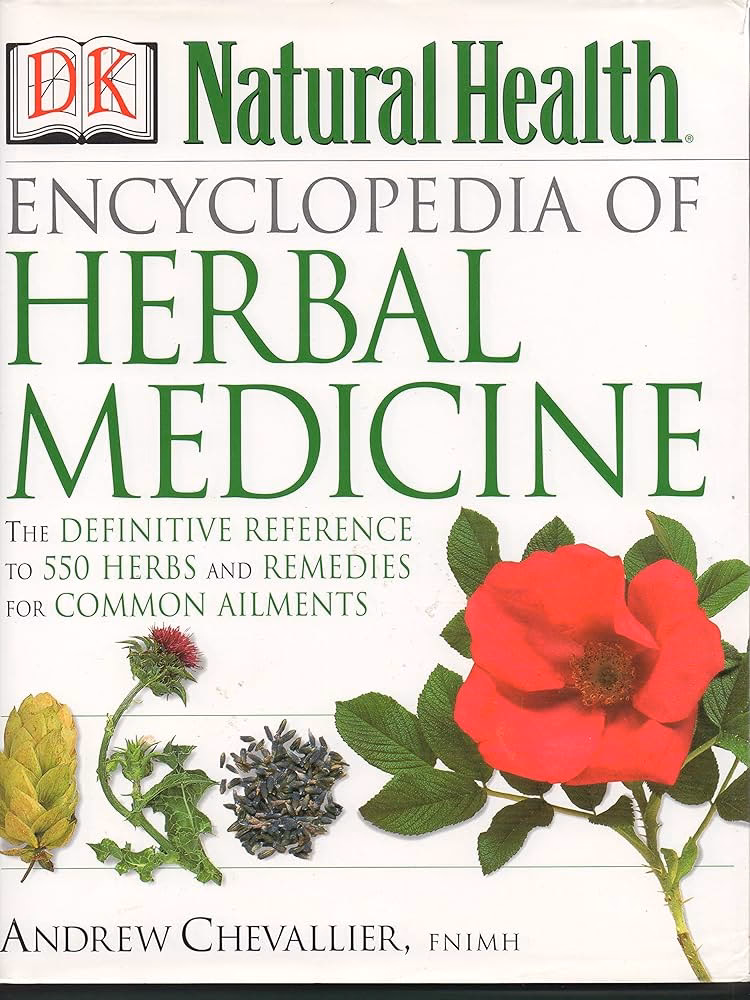 What does herbal medicine mean?