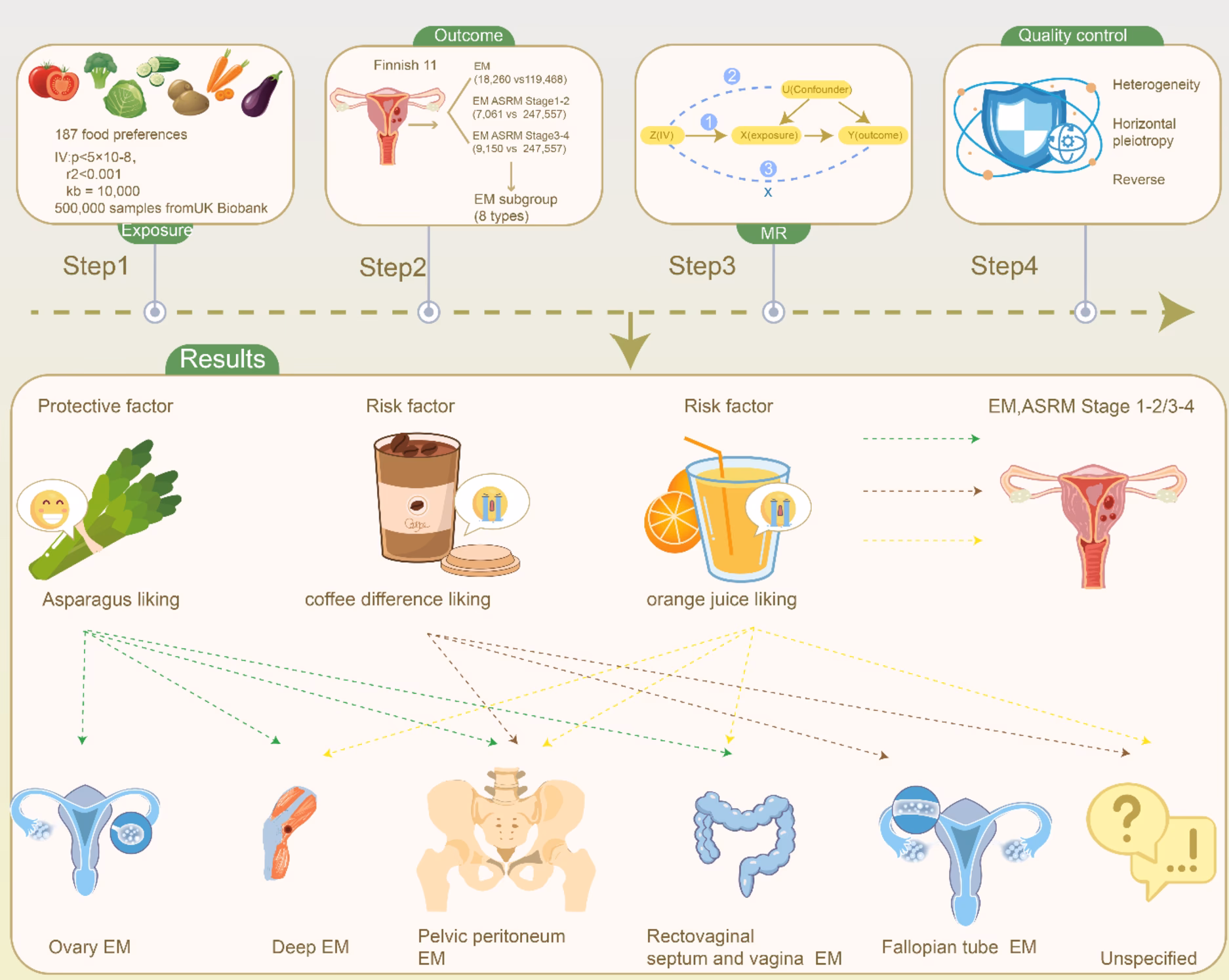 Does diet affect endometriosis risk?