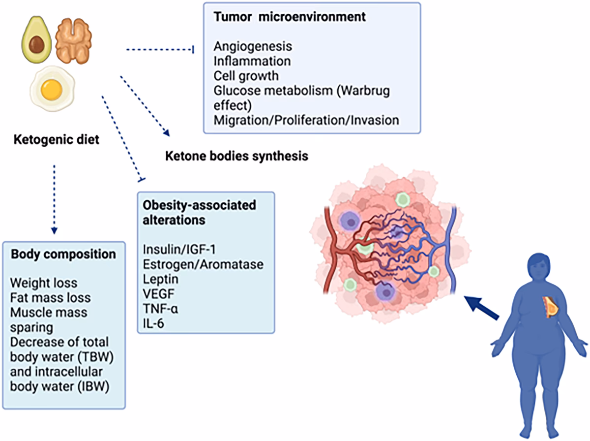 Can a keto diet treat endometriosis?