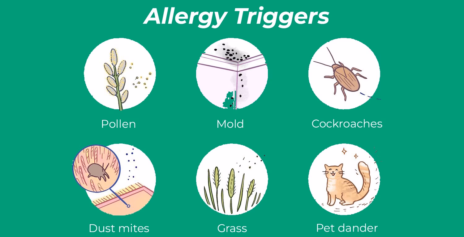 What are environmental allergies?
