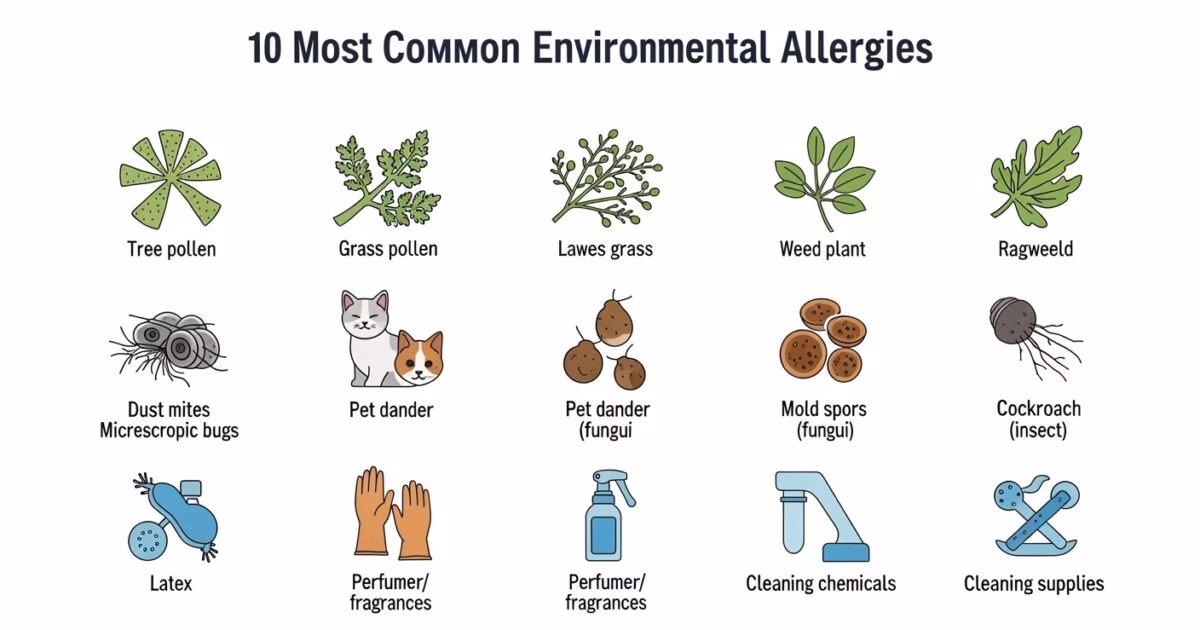 How many people have environmental allergies?