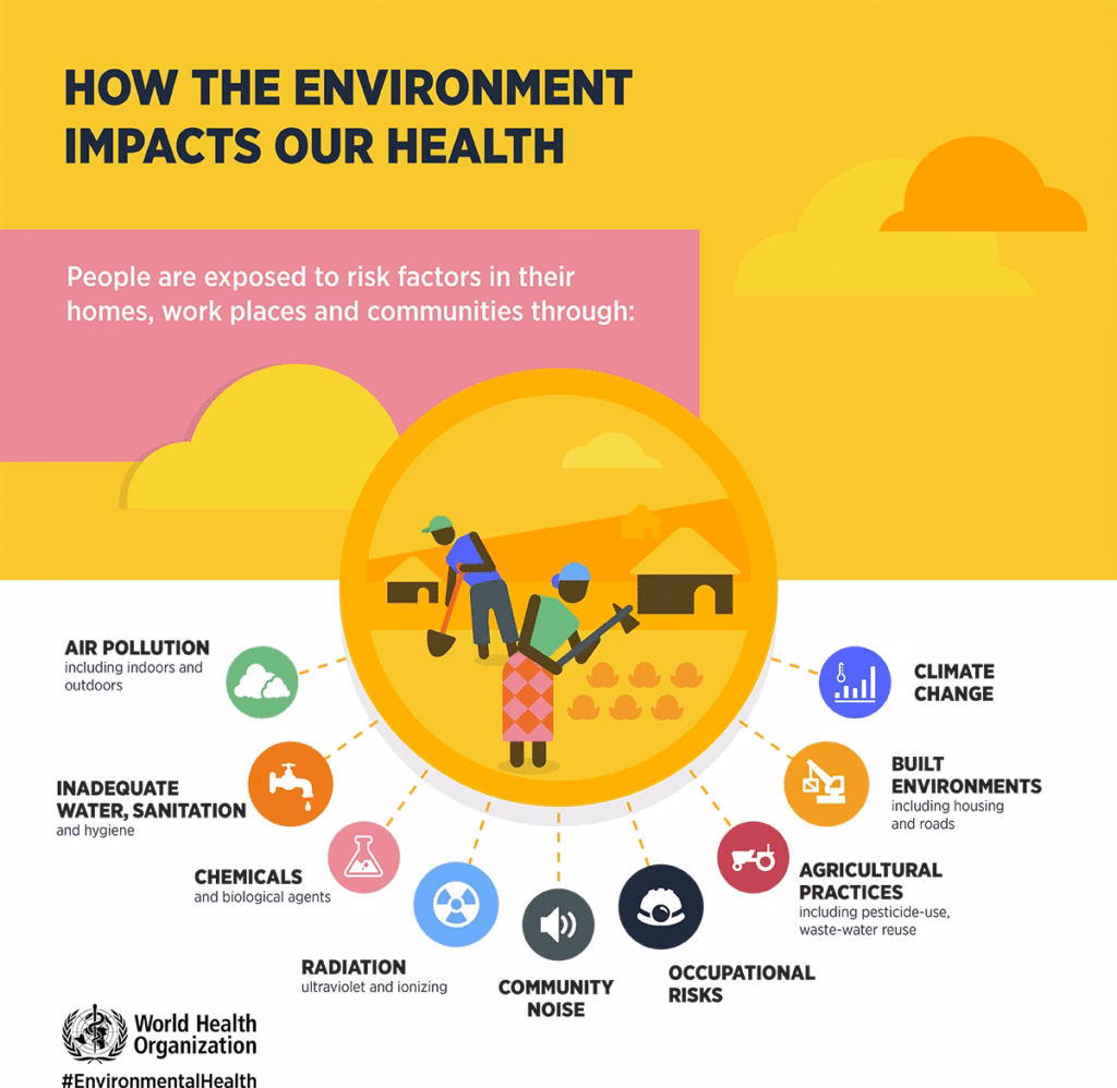 What is environmental health & preventive medicine?