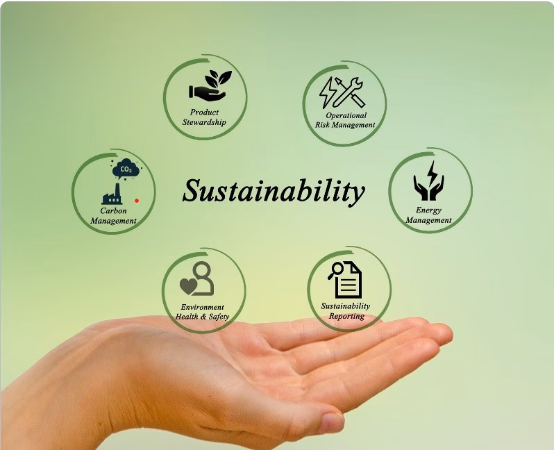 Do environmental regulations influence green innovation and sustainable environmental performance?