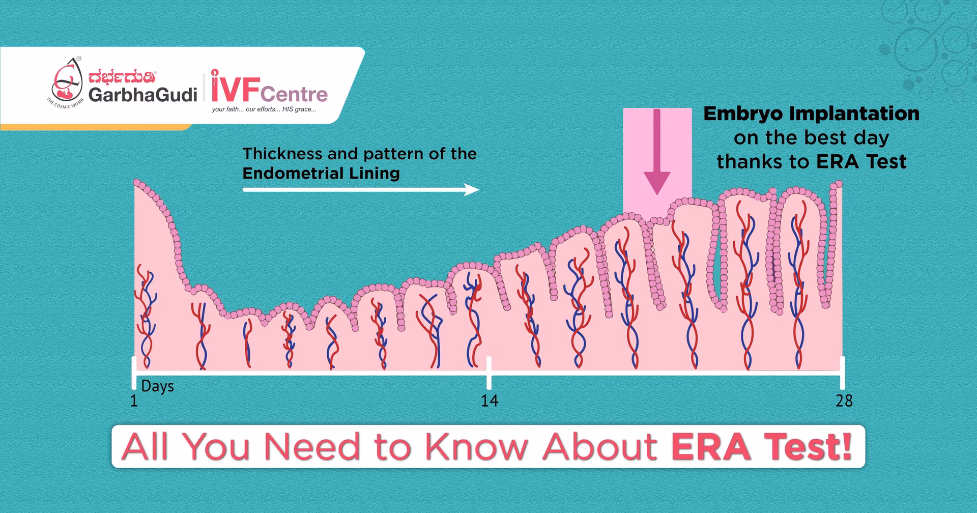What is the endometrial receptivity array test?
